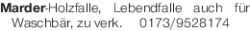 Vorschaubild der Anzeige, (Id: 1959144)
