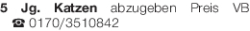 Vorschaubild der Anzeige, (Id: 1962709)