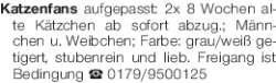 Vorschaubild der Anzeige, (Id: 1962728)