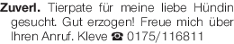 Vorschaubild der Anzeige, (Id: 1964491)