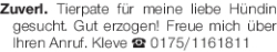 Vorschaubild der Anzeige, (Id: 1966216)
