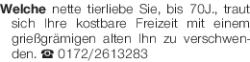 Vorschaubild der Anzeige, (Id: 1966242)