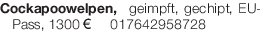 Vorschaubild der Anzeige, (Id: 1966282)