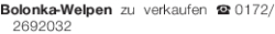 Vorschaubild der Anzeige, (Id: 1967876)