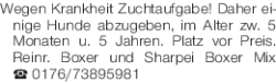 Vorschaubild der Anzeige, (Id: 1967913)