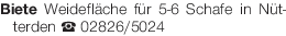 Vorschaubild der Anzeige, (Id: 1972971)
