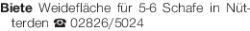 Vorschaubild der Anzeige, (Id: 1972971)
