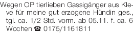 Vorschaubild der Anzeige, (Id: 1976953)