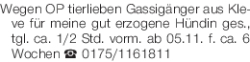 Vorschaubild der Anzeige, (Id: 1976953)
