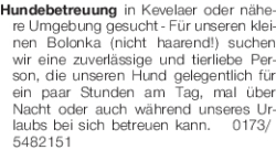 Vorschaubild der Anzeige, (Id: 1976971)