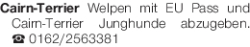 Vorschaubild der Anzeige, (Id: 1976990)