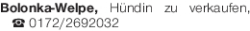 Vorschaubild der Anzeige, (Id: 1980653)
