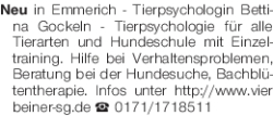 Vorschaubild der Anzeige, (Id: 1988428)