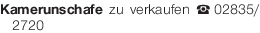 Vorschaubild der Anzeige, (Id: 2028759)