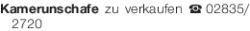 Vorschaubild der Anzeige, (Id: 2028759)