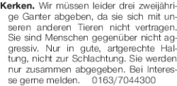Vorschaubild der Anzeige, (Id: 2034166)
