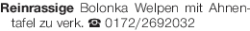 Vorschaubild der Anzeige, (Id: 2035794)