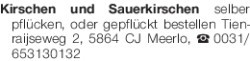 Vorschaubild der Anzeige, (Id: 2056459)
