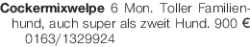 Vorschaubild der Anzeige, (Id: 2056462)