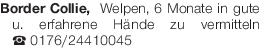 Vorschaubild der Anzeige, (Id: 2056486)