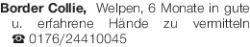 Vorschaubild der Anzeige, (Id: 2056486)