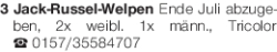 Vorschaubild der Anzeige, (Id: 2058399)