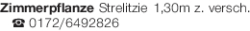 Vorschaubild der Anzeige, (Id: 2059939)