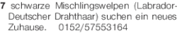 Vorschaubild der Anzeige, (Id: 2068012)