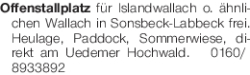 Vorschaubild der Anzeige, (Id: 2074719)