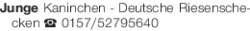 Vorschaubild der Anzeige, (Id: 2074724)