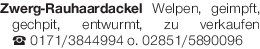 Vorschaubild der Anzeige, (Id: 2076647)