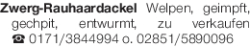 Vorschaubild der Anzeige, (Id: 2076647)