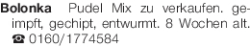 Vorschaubild der Anzeige, (Id: 2083247)