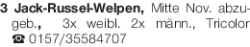 Vorschaubild der Anzeige, (Id: 2083255)