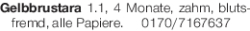 Vorschaubild der Anzeige, (Id: 2083268)