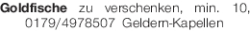 Vorschaubild der Anzeige, (Id: 2083269)