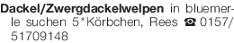Vorschaubild der Anzeige, (Id: 2083294)