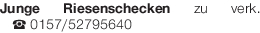 Vorschaubild der Anzeige, (Id: 2085044)